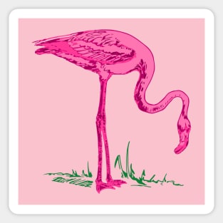 Flamingo Sticker